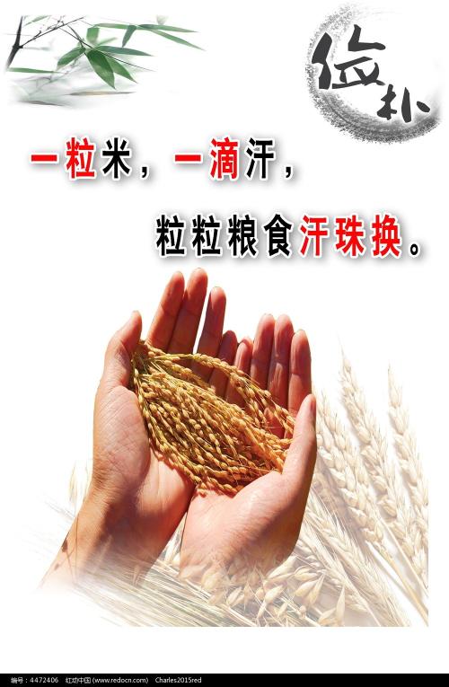 南安普顿索伦特大学硕士学位证